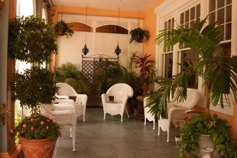Cordova Inn - Saint Petersburg Interior photo